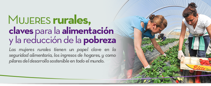 Mujeres rurales, claves para la alimentacin y la reduccin de la pobreza  Las mujeres rurales tienen un papel clave en la seguridad alimentaria, los ingresos de hogares, y como pilares del desarrollo sostenible en todo el mundo.