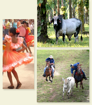 Los Llanos