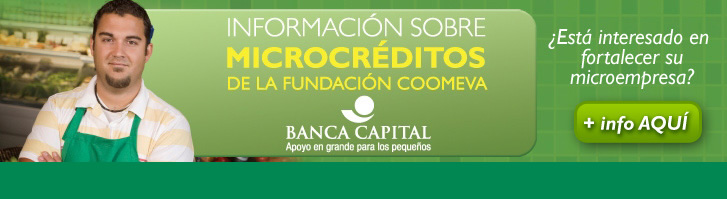Microcr&eacute;dito