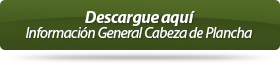 Descargu� aqu� Informaci�n General Cabeza de Plancha