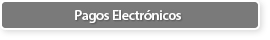 Pagos Electrnicos